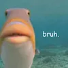 justaduded
