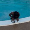 cashbanks546
