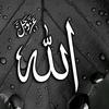 muhammadasif944297