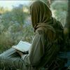 muhammaddib31
