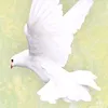 nr___.0