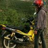 ardi.iskdr