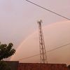 rif_417