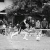 smoothball10