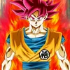 musuhgoku
