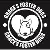 gracesfosterdogs