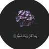 dareen.r.selim