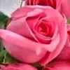 usero87djx0dwf
