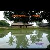 mvhamubarak