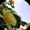 abeehakhalid27