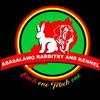 abasalawo256