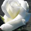 rubybeauty30