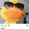 chrislim8219