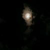shendiy_ama