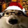 ix3_joshy