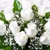 fatma.polat33