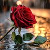 user1888723528420