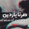bassamalharazi6