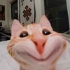 boongismee