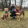 misiek_bully_pandora