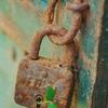 mohammedsuliman9688