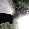 tearasweg2