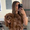 miamihomefinds