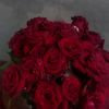 rere64723