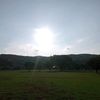 alexander_2448