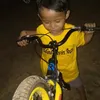 aldinogavin