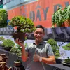 Bonsai Đất Phú 78