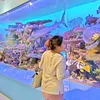 yeongajin2