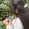 133arpita