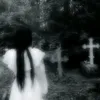 frozen8960