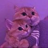 nadaa.ismail2