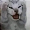 usernm8x3lq8h8