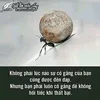 hoanghuy_28_06_15
