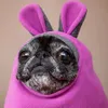 jodies_plasticfruit