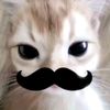 idk_4nul