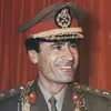 ali36283626