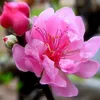 hoanguyenthuy255