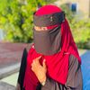 sne_ha506