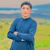 shahzibdon734