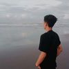npoll24
