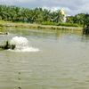 ahmadhusein470