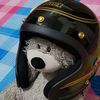 xteddyx807