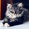 bluexclouds09