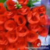 muuna.ladan7