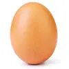 eggi_bu