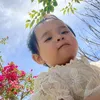 phwnhi2912